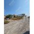  Land for sale in Reynosa, Tamaulipas, Reynosa