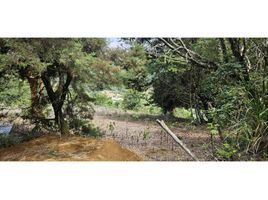  Land for sale in Jaramillo, Boquete, Jaramillo