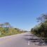  Grundstück zu verkaufen in Conkal, Yucatan, Conkal