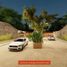  Land for sale in Motul, Yucatan, Motul