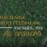  Land for sale in Motul, Yucatan, Motul