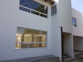 Maison 3 chambre à vendre à Coyoacan, Mexico City, Coyoacan