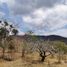  Land for sale in Cintalapa, Chiapas, Cintalapa