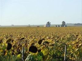  Terreno (Parcela) en alquiler en Argentina, Chapaleufu, La Pampa, Argentina