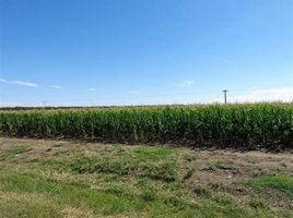  Terreno (Parcela) en alquiler en Argentina, General Roca, Cordobá, Argentina