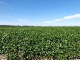  Terreno (Parcela) en alquiler en Argentina, General Roca, Cordobá, Argentina