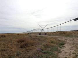  Terreno (Parcela) en alquiler en Argentina, Ayacucho, San Luis, Argentina