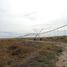 Land for rent in Ayacucho, San Luis, Ayacucho
