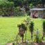 4 Bedroom House for sale in Guarne, Antioquia, Guarne