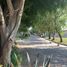 Terreno (Parcela) en venta en Zapopan, Jalisco, Zapopan, Jalisco