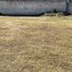  Land for sale in Zapopan, Jalisco, Zapopan, Jalisco
