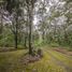  Land for sale in Amatitan, Jalisco, Amatitan