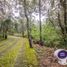  Land for sale in Amatitan, Jalisco, Amatitan