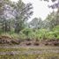 Land for sale in Amatitan, Jalisco, Amatitan