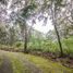  Land for sale in Amatitan, Jalisco, Amatitan