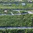  Terreno (Parcela) en venta en Yaxkukul, Yucatán, Yaxkukul