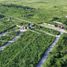  Terreno (Parcela) en venta en Yaxkukul, Yucatán, Yaxkukul