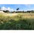  Land for sale in Palmira, Valle Del Cauca, Palmira