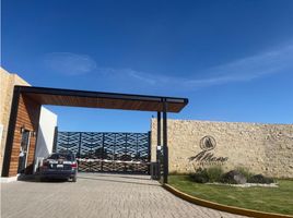  토지을(를) San Jeronimo Tecuanipan, 푸에블라에서 판매합니다., San Jeronimo Tecuanipan