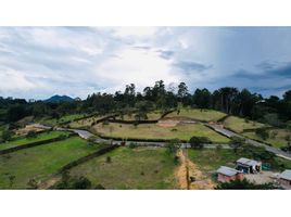  Terreno (Parcela) en venta en El Carmen De Viboral, Antioquia, El Carmen De Viboral