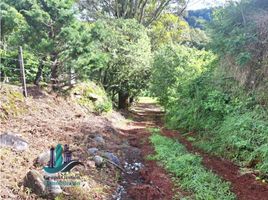  Grundstück zu verkaufen in Bugaba, Chiriqui, Cerro Punta, Bugaba