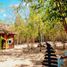  Grundstück zu verkaufen in Cozumel, Quintana Roo, Cozumel