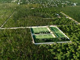  Terreno (Parcela) en venta en Cozumel, Quintana Roo, Cozumel, Quintana Roo