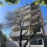 1 chambre Appartement for sale in Santa Fe, Rosario, Santa Fe