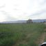  Land for sale in Junin, San Luis, Junin