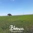  Grundstück zu verkaufen in Conhelo, La Pampa, Conhelo