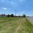  Terreno (Parcela) en venta en Salamanca, Guanajuato, Salamanca