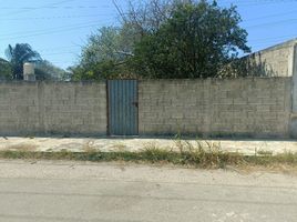 在Merida, Yucatan出售的 土地, Merida