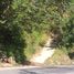  Land for sale in San Luis, Antioquia, San Luis