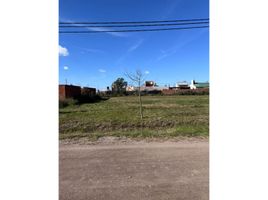  Grundstück zu verkaufen in Rosario, Santa Fe, Rosario