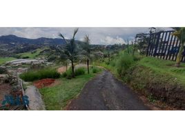  Land for sale in Guarne, Antioquia, Guarne