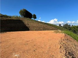  Land for sale in El Carmen De Viboral, Antioquia, El Carmen De Viboral