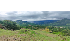  Land for sale in Anapoima, Cundinamarca, Anapoima