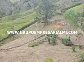  Grundstück zu verkaufen in San Carlos, Antioquia, San Carlos