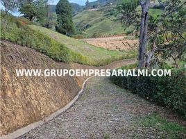  Terrain for sale in San Carlos, Antioquia, San Carlos