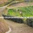  Terrain for sale in San Carlos, Antioquia, San Carlos