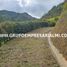  Terrain for sale in San Carlos, Antioquia, San Carlos