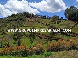  Grundstück zu verkaufen in San Carlos, Antioquia, San Carlos