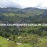  Terrain for sale in San Carlos, Antioquia, San Carlos