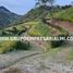  Terrain for sale in San Carlos, Antioquia, San Carlos