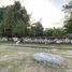  Terreno (Parcela) en venta en Merida, Yucatán, Merida