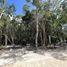  Grundstück zu verkaufen in Cozumel, Quintana Roo, Cozumel, Quintana Roo, Mexiko