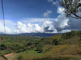  Terreno (Parcela) en venta en Penol, Antioquia, Penol