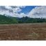 Terrain à vendre à Pereira, Risaralda, Pereira, Risaralda, Colombie