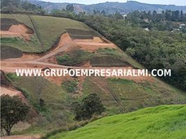  Terreno (Parcela) en venta en Rionegro, Antioquia, Rionegro, Antioquia