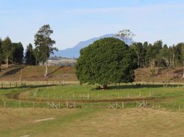  Terreno (Parcela) en venta en Los Lagos, LLanquihue, Llanquihue, Los Lagos